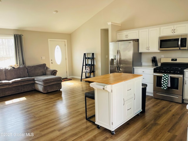 kitchen with white cabinetry, appliances with stainless steel finishes, open floor plan, and vaulted ceiling