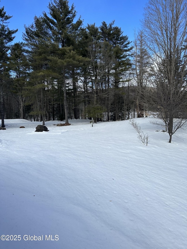 view of snowy yard