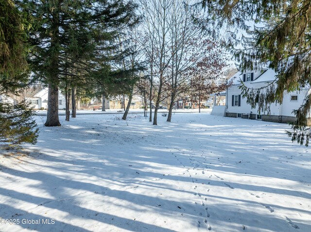 view of yard covered in snow