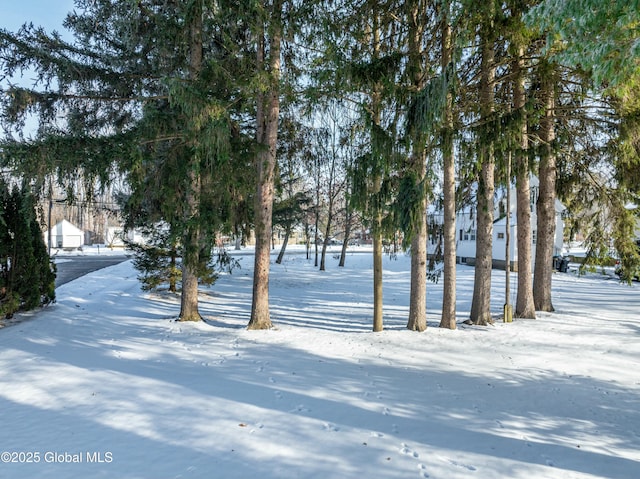 view of yard layered in snow