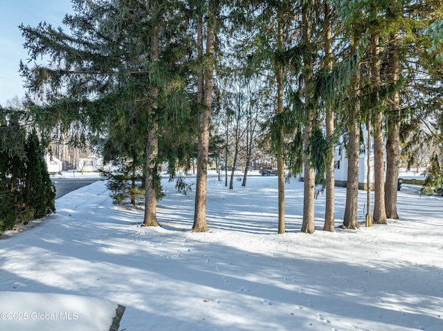 view of snowy yard