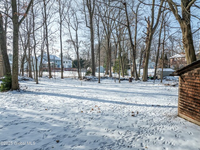 view of snowy yard