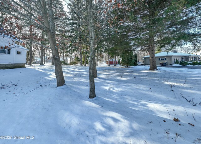 view of yard covered in snow