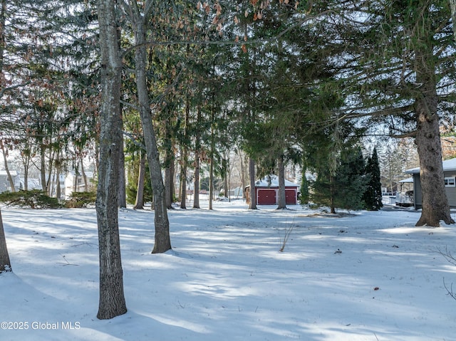 view of snowy yard