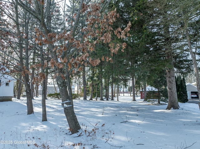 view of snowy yard