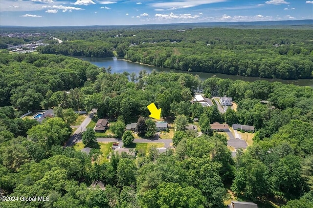 bird's eye view featuring a water view and a forest view