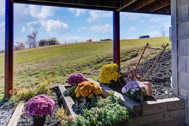 view of yard with a rural view