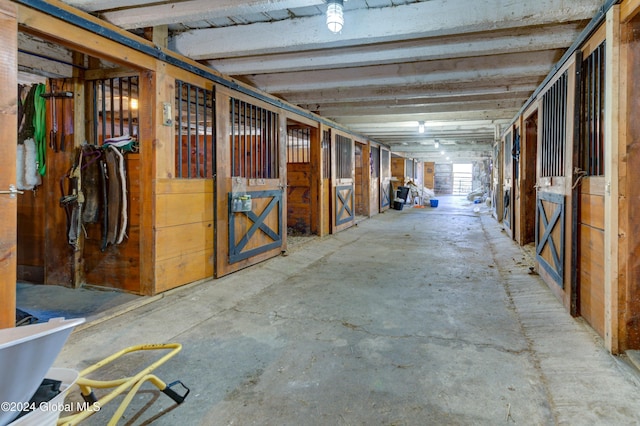 view of stable