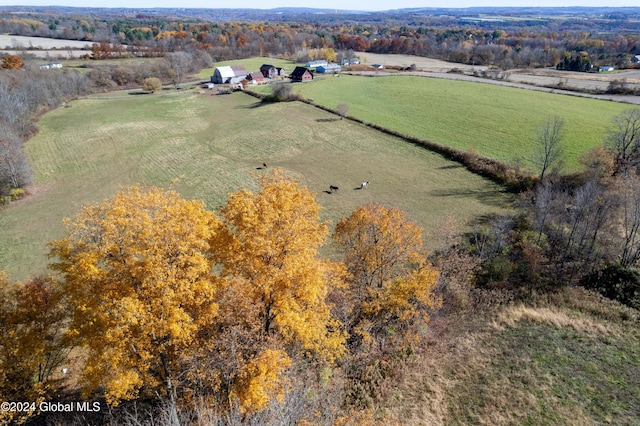 bird's eye view with a rural view