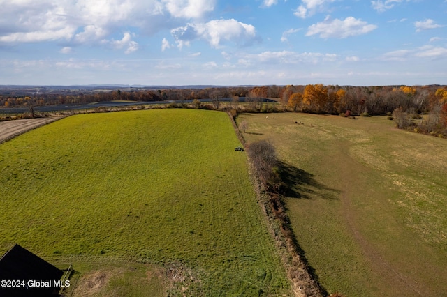 bird's eye view with a rural view