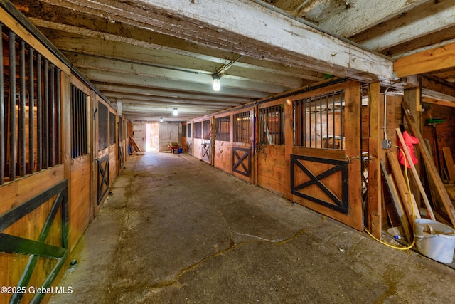 view of horse barn