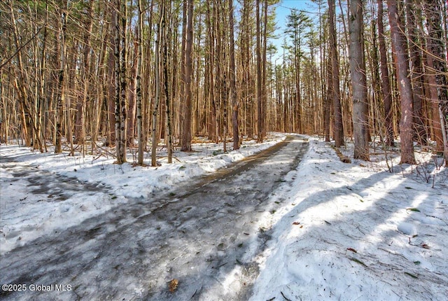 view of road with a view of trees