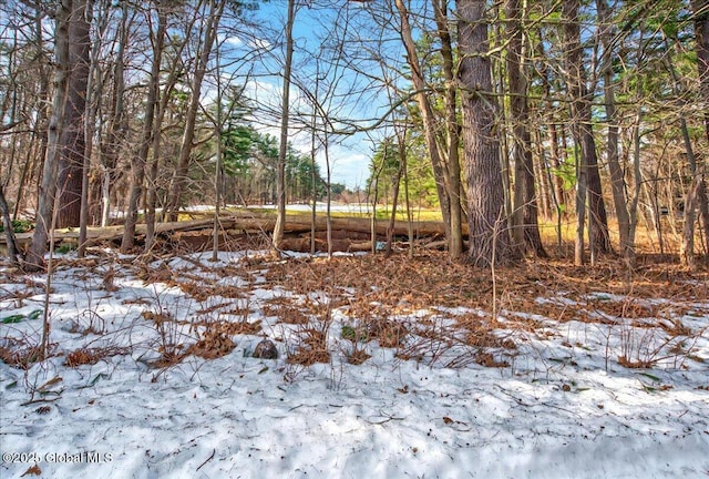 view of snowy landscape