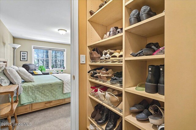 walk in closet with carpet floors