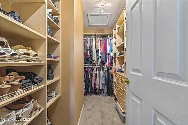 spacious closet with carpet and attic access