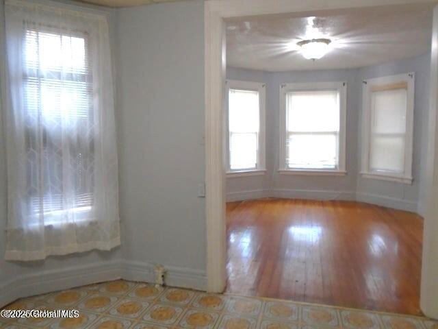 unfurnished room featuring a wealth of natural light, baseboards, and wood finished floors