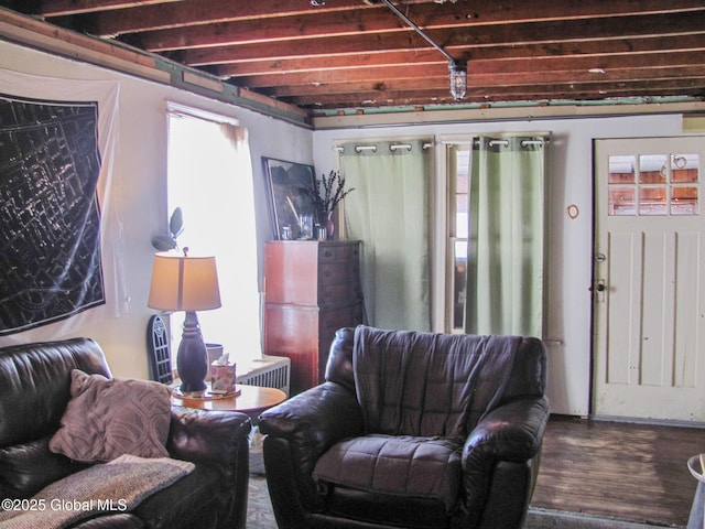 living room featuring wood finished floors