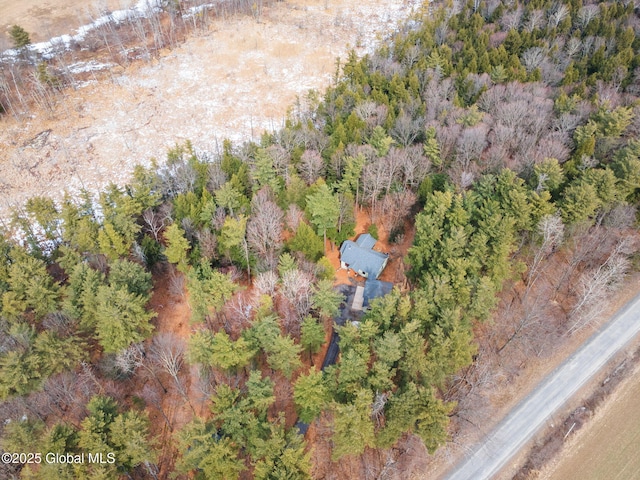 birds eye view of property featuring a forest view