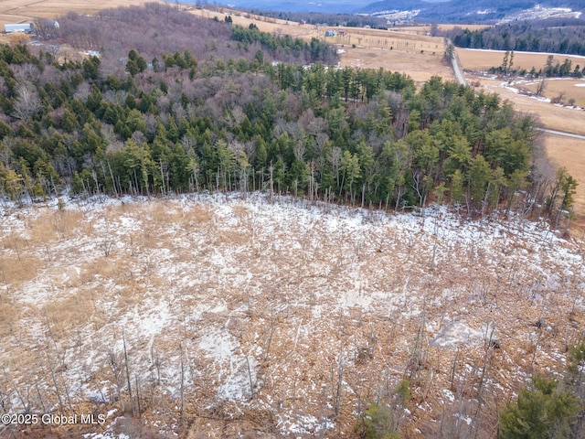 mountain view featuring a rural view and a wooded view