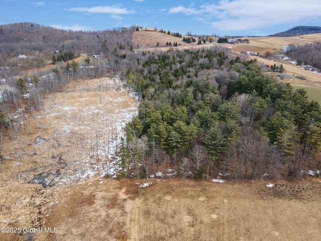 birds eye view of property featuring a mountain view