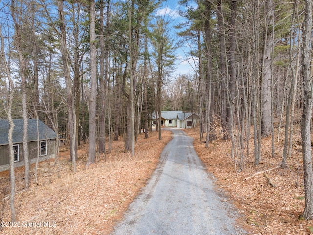 view of street with driveway