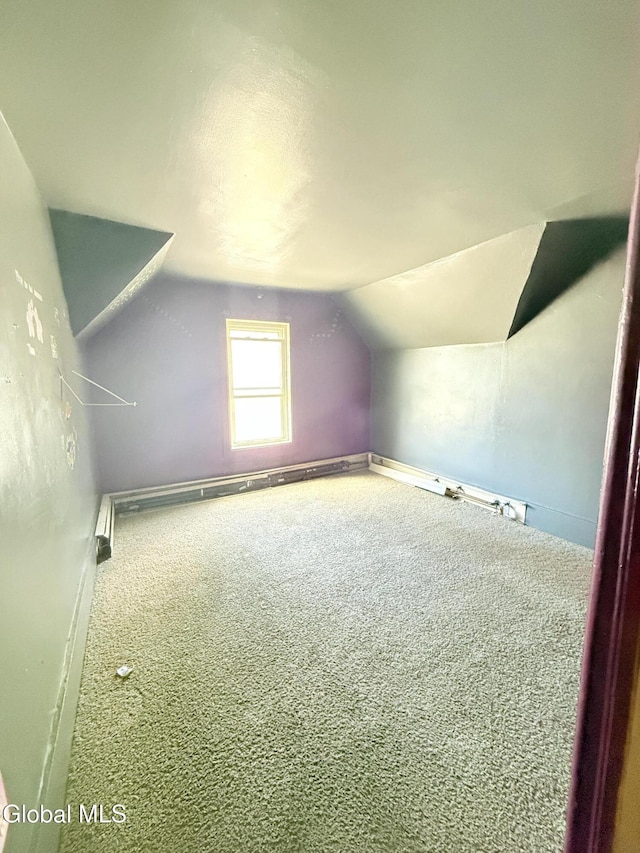 3144 N Thompson St, Rotterdam, NY 12306 - bonus room with carpet floors and vaulted ceiling