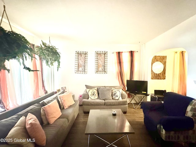 living room with a healthy amount of sunlight and wood finished floors