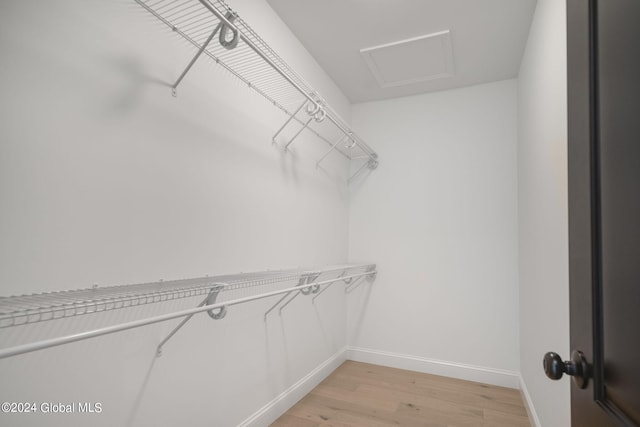 walk in closet featuring attic access and light wood-type flooring