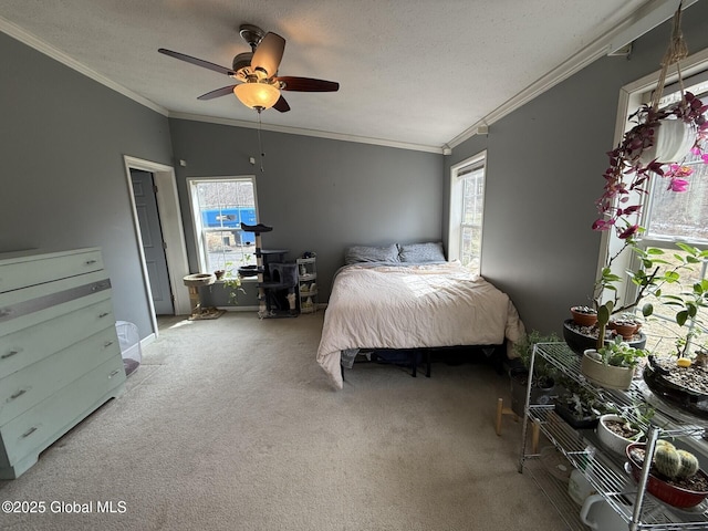 bedroom with crown molding, carpet flooring, a ceiling fan, and a textured ceiling