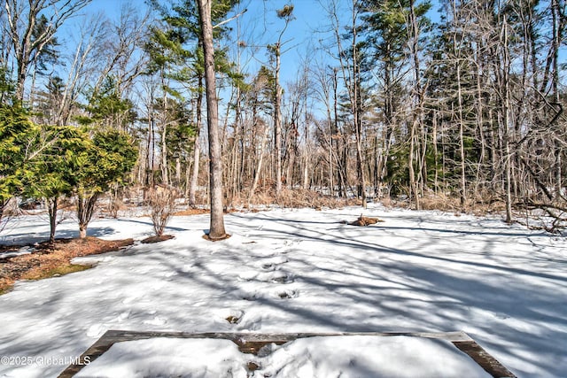 view of snowy yard