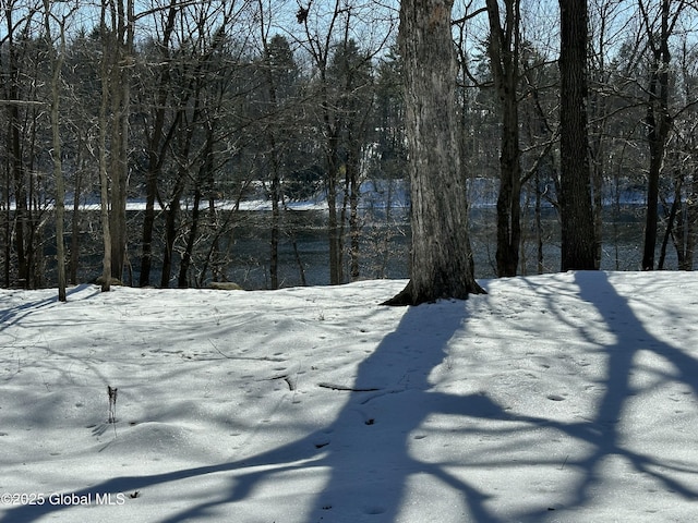 view of snowy yard