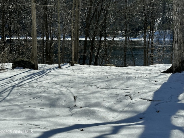 view of snowy yard