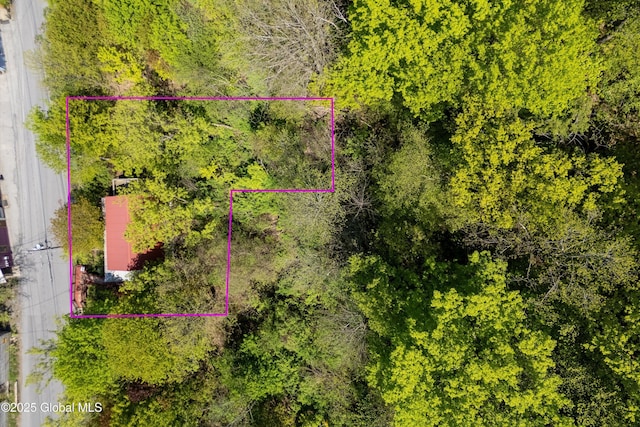 83 N Williams St, Whitehall, NY 12887 - aerial overview of property's location featuring property parcel outlined