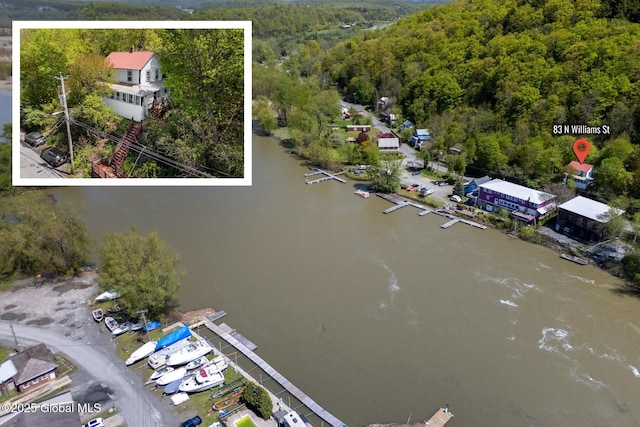 83 N Williams St, Whitehall, NY 12887 - drone / aerial view of a forest and a large body of water