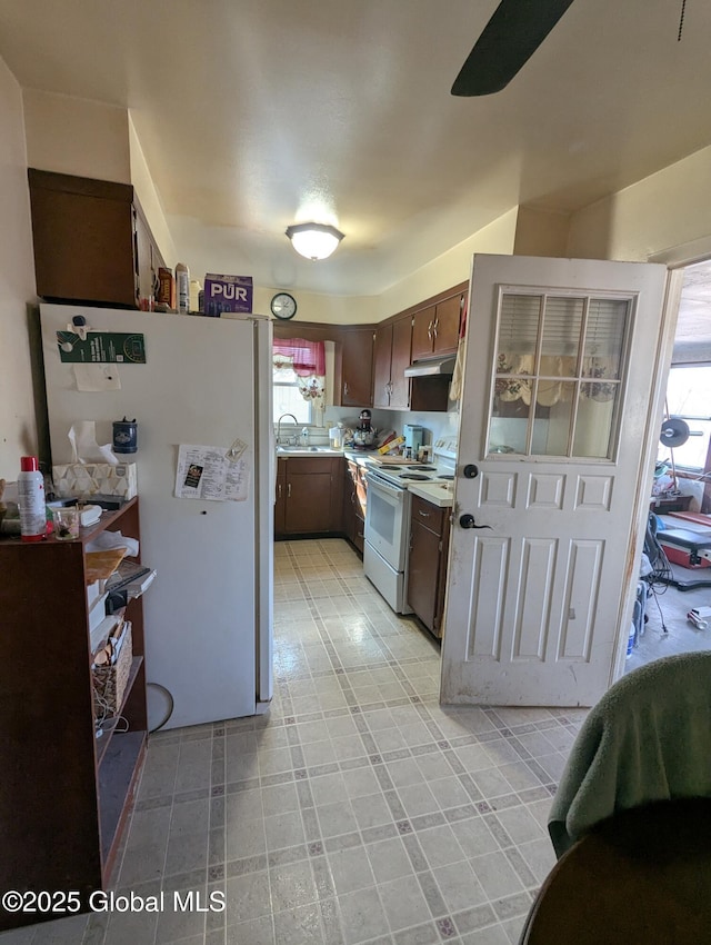 kitchen with under cabinet range hood, white appliances, a wealth of natural light, and light countertops