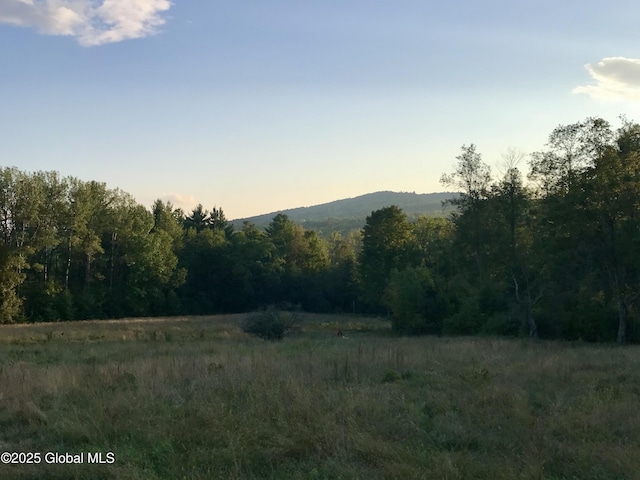 mountain view with a forest view