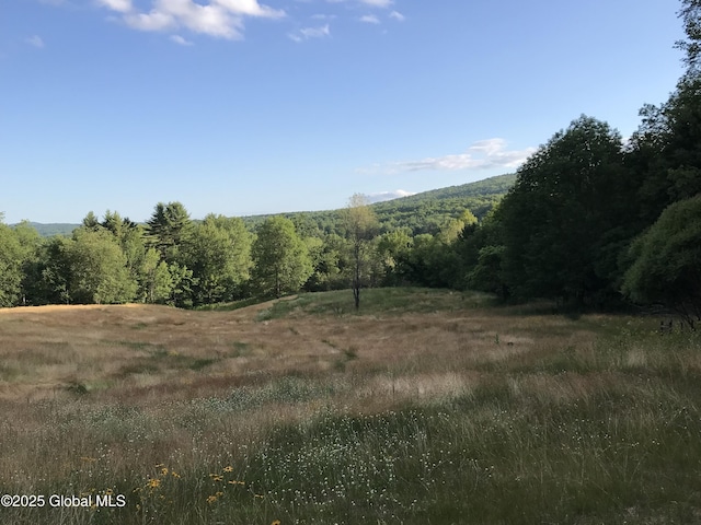 view of local wilderness featuring a wooded view