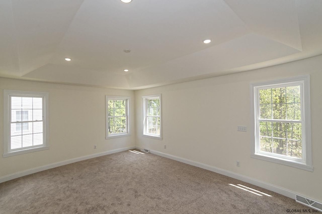 unfurnished room with a raised ceiling, visible vents, and a wealth of natural light