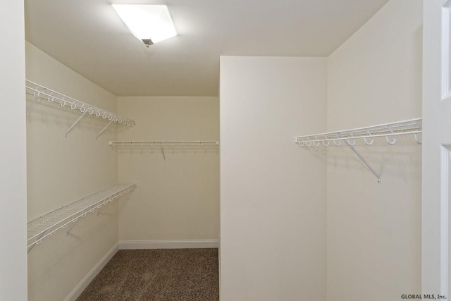 spacious closet with carpet flooring