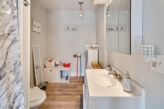 bathroom with toilet, vanity, and wood finished floors