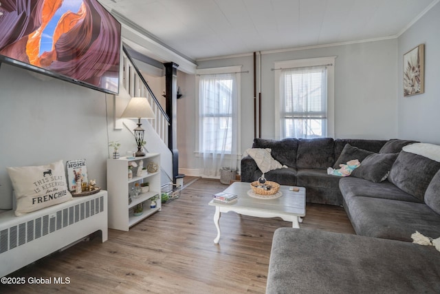 living room featuring stairway, ornamental molding, radiator heating unit, and wood finished floors