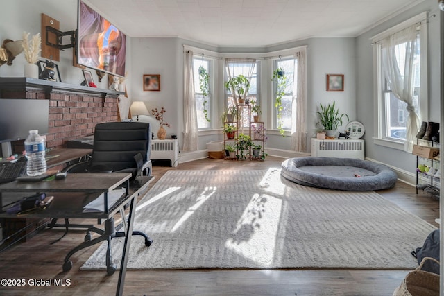 office featuring a wealth of natural light, radiator, and wood finished floors