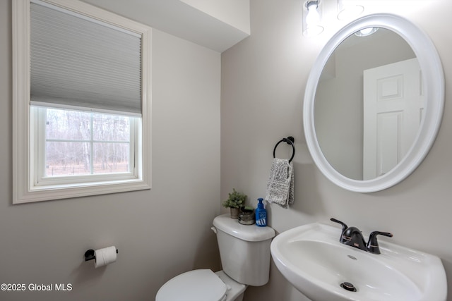bathroom featuring a sink and toilet