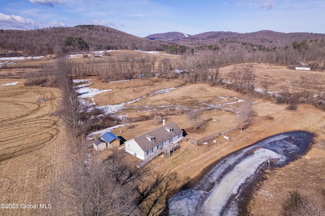 birds eye view of property featuring a mountain view