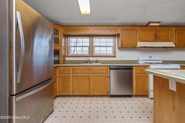 kitchen with under cabinet range hood, light floors, stainless steel appliances, and a sink