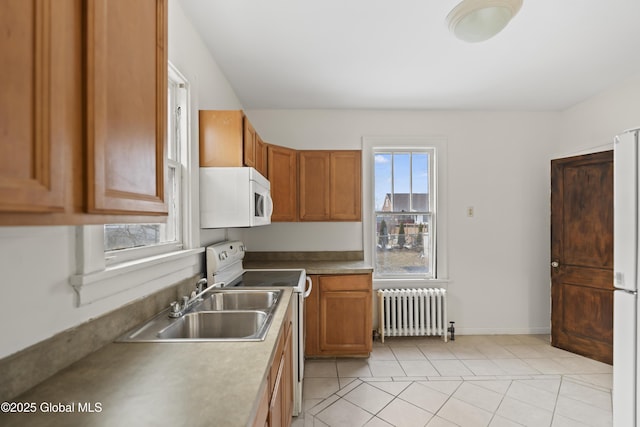 kitchen featuring white appliances, radiator, brown cabinets, and a sink