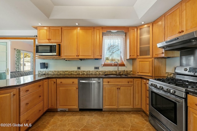 kitchen with dark stone countertops, a sink, under cabinet range hood, appliances with stainless steel finishes, and a raised ceiling