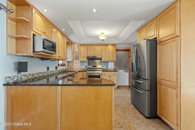 kitchen with under cabinet range hood, a tray ceiling, a sink, stainless steel appliances, and a peninsula