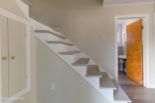 staircase with wood finished floors