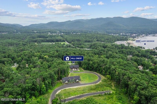 aerial view with a mountain view and a wooded view